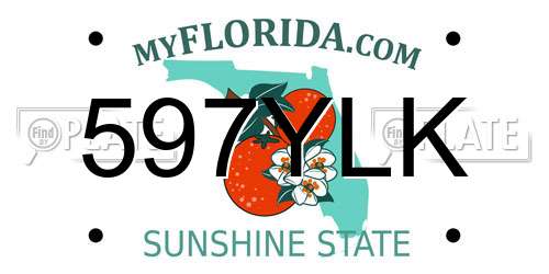 597YLK Florida License Plate