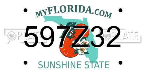 597Z32 Florida License Plate