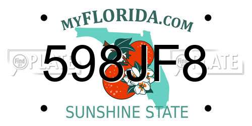 598JF8 Florida License Plate