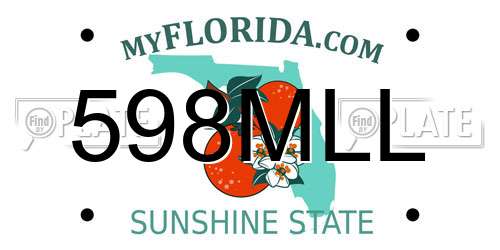 598MLL Florida License Plate