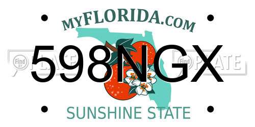 598NGX Florida License Plate