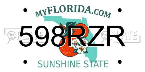 598RZR Florida License Plate