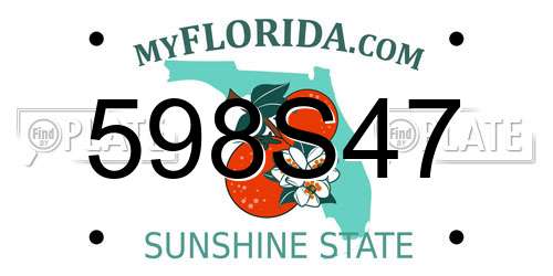 598S47 Florida License Plate
