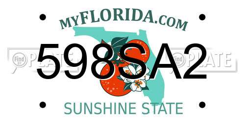 598SA2 Florida License Plate
