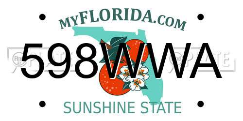 598WWA Florida License Plate