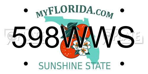 598WWS Florida License Plate
