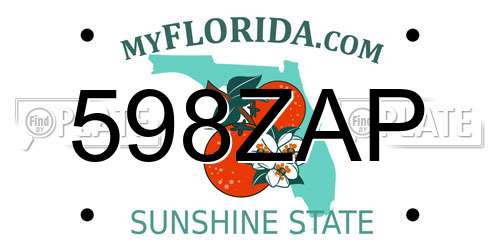 598ZAP Florida License Plate