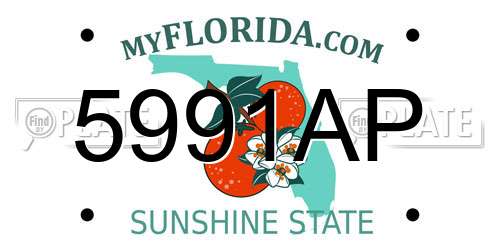 5991AP Florida License Plate