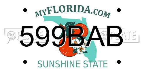 599BAB Florida License Plate
