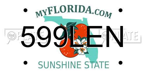 599LEN Florida License Plate