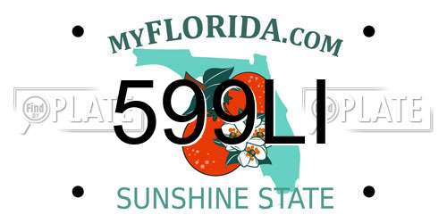 599LI Florida License Plate