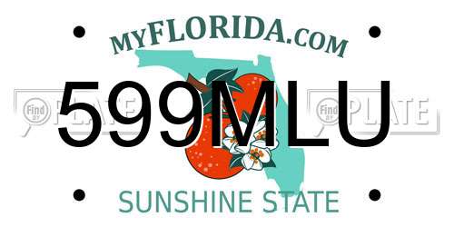 599MLU Florida License Plate