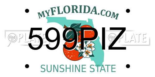 599PIZ Florida License Plate