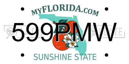 599PMW Florida License Plate