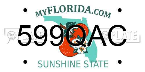 599QAC Florida License Plate