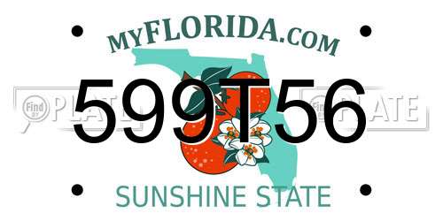 599T56 Florida License Plate
