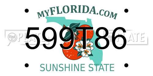 599T86 Florida License Plate