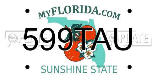 599TAU Florida License Plate