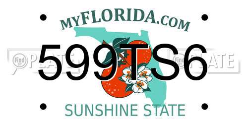 599TS6 Florida License Plate