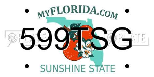 599TSG Florida License Plate