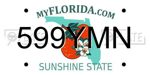 599YMN Florida License Plate