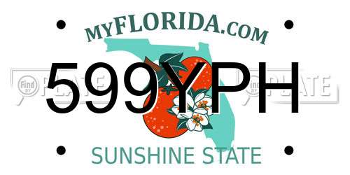 599YPH Florida License Plate