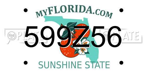 599Z56 Florida License Plate
