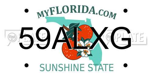 59ALXG Florida License Plate