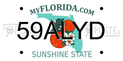 59ALYD Florida License Plate