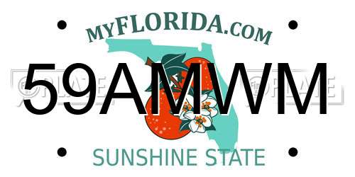 59AMWM Florida License Plate