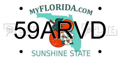 59ARVD Florida License Plate