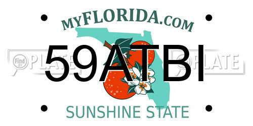 59ATBI Florida License Plate