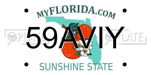 59AVIY Florida License Plate