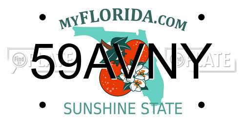 59AVNY Florida License Plate