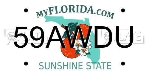 59AWDU Florida License Plate