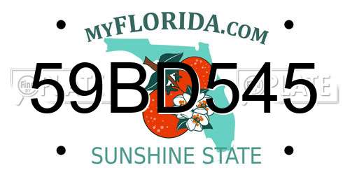 59BD545 Florida License Plate