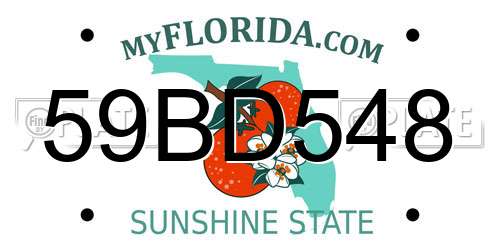 59BD548 Florida License Plate