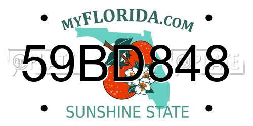 59BD848 Florida License Plate