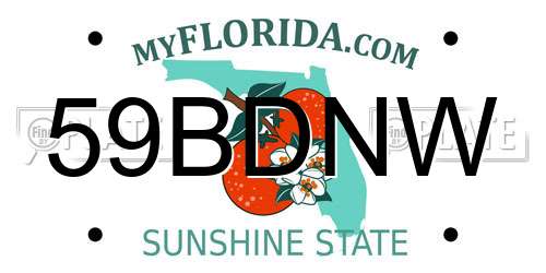 59BDNW Florida License Plate