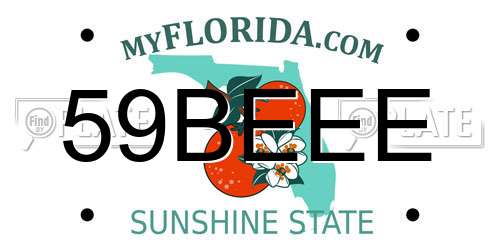 59BEEE Florida License Plate