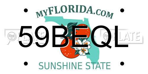 59BEQL Florida License Plate