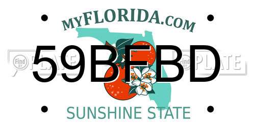 59BFBD Florida License Plate