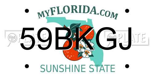 59BKGJ Florida License Plate