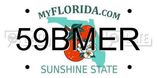 59BMER Florida License Plate
