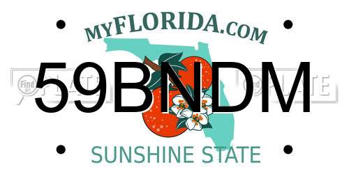 59BNDM Florida License Plate