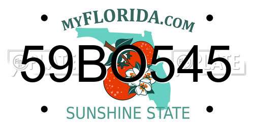 59BO545 Florida License Plate