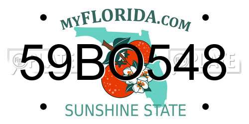 59BO548 Florida License Plate