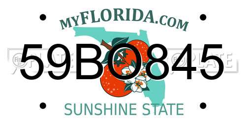 59BO845 Florida License Plate