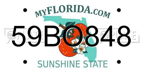 59BO848 Florida License Plate