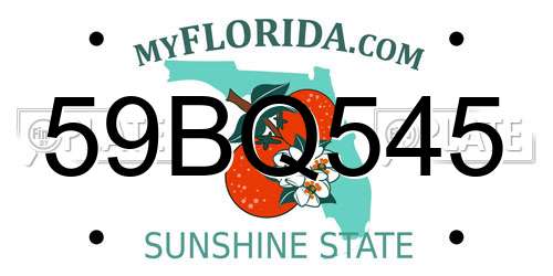 59BQ545 Florida License Plate
